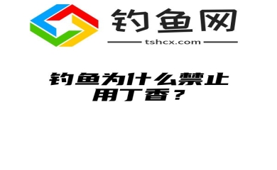 钓鱼为什么禁止用丁香？