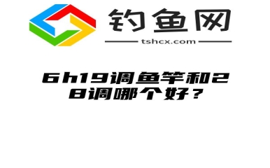 6h19调鱼竿和28调哪个好？