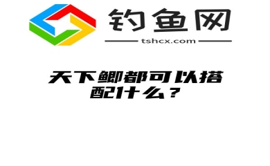 天下鲫都可以搭配什么？