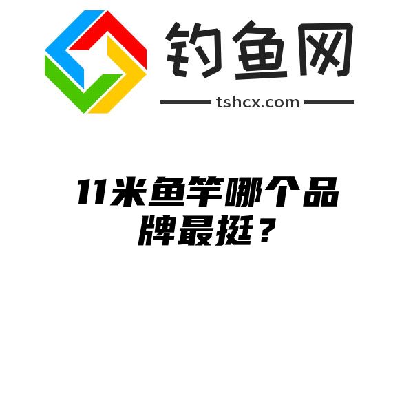 11米鱼竿哪个品牌最挺？