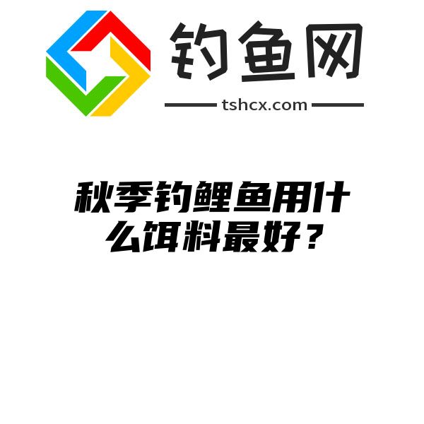 秋季钓鲤鱼用什么饵料最好？