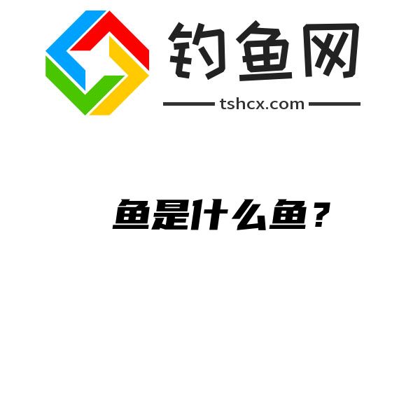 魽鱼是什么鱼？