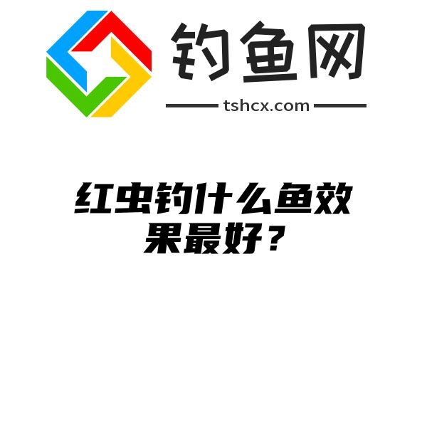 红虫钓什么鱼效果最好？