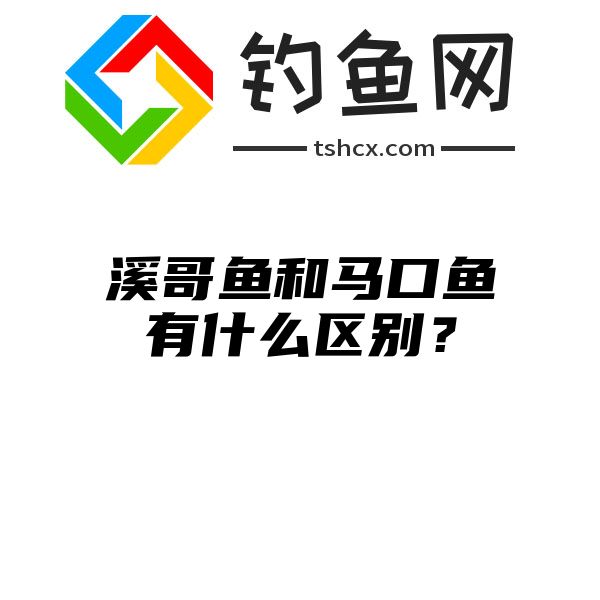 溪哥鱼和马口鱼有什么区别？