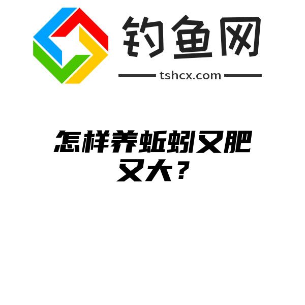 怎样养蚯蚓又肥又大？