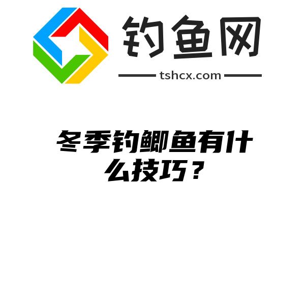 冬季钓鲫鱼有什么技巧？