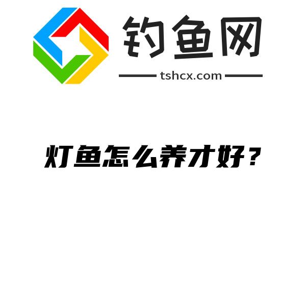 灯鱼怎么养才好？