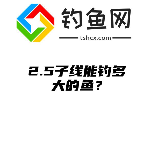 2.5子线能钓多大的鱼？