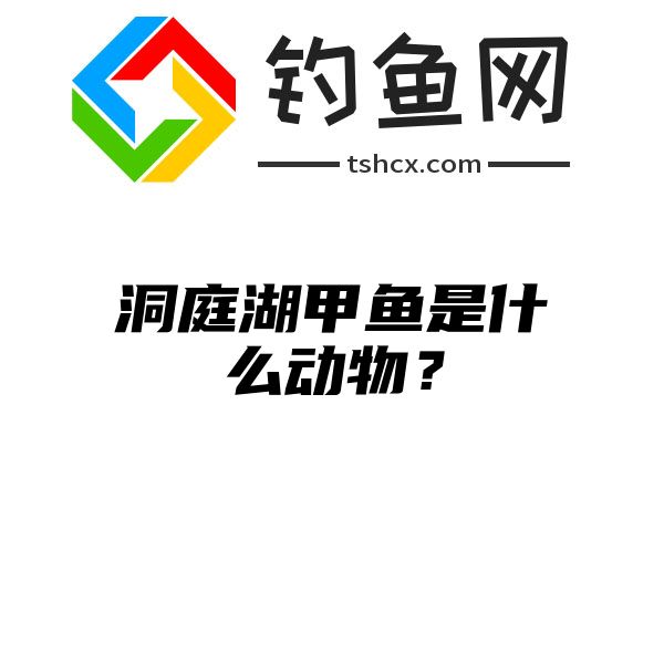 洞庭湖甲鱼是什么动物？