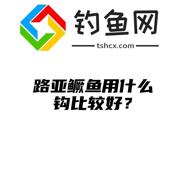 路亚鳜鱼用什么钩比较好？