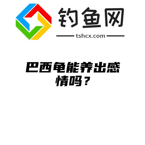 巴西龟能养出感情吗？