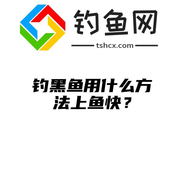 钓黑鱼用什么方法上鱼快？