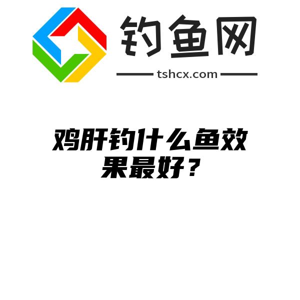 鸡肝钓什么鱼效果最好？