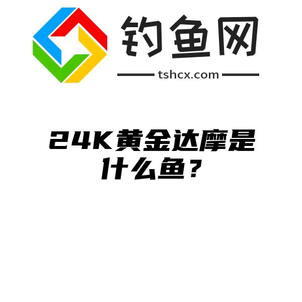 24K黄金达摩是什么鱼？