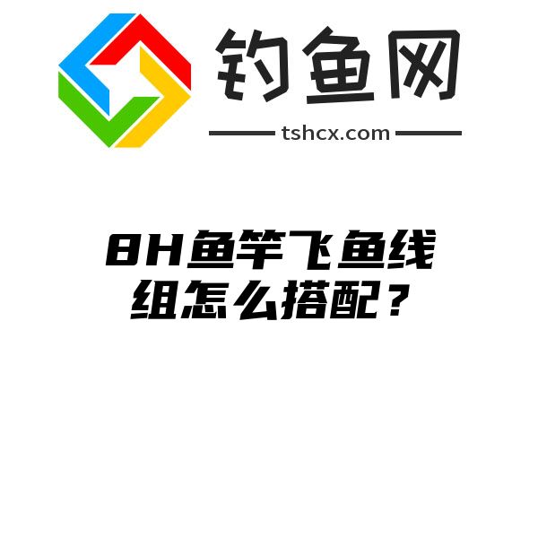 8H鱼竿飞鱼线组怎么搭配？