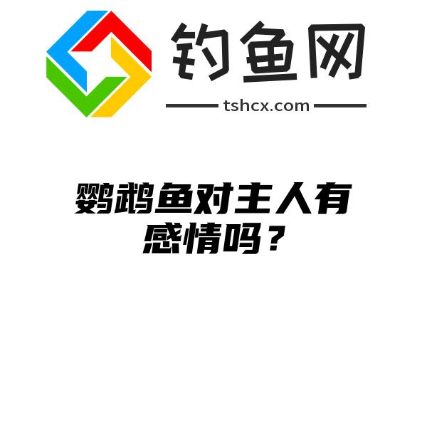 鹦鹉鱼对主人有感情吗？