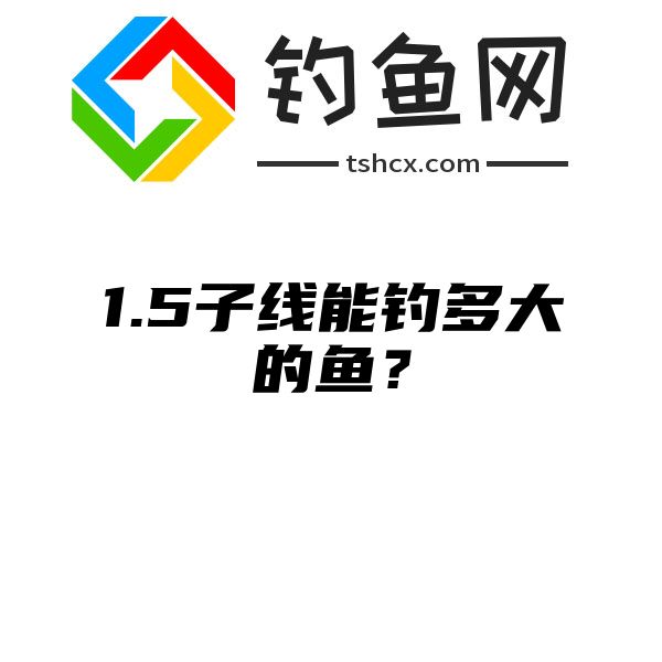 1.5子线能钓多大的鱼？