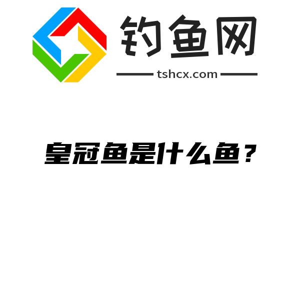 皇冠鱼是什么鱼？