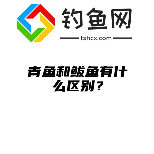 青鱼和鲅鱼有什么区别？