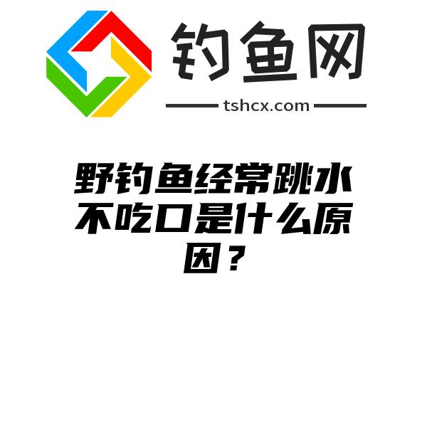 野钓鱼经常跳水不吃口是什么原因？