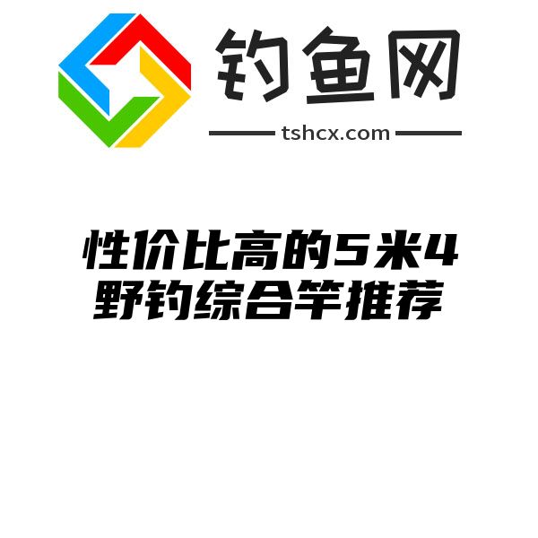 性价比高的5米4野钓综合竿推荐