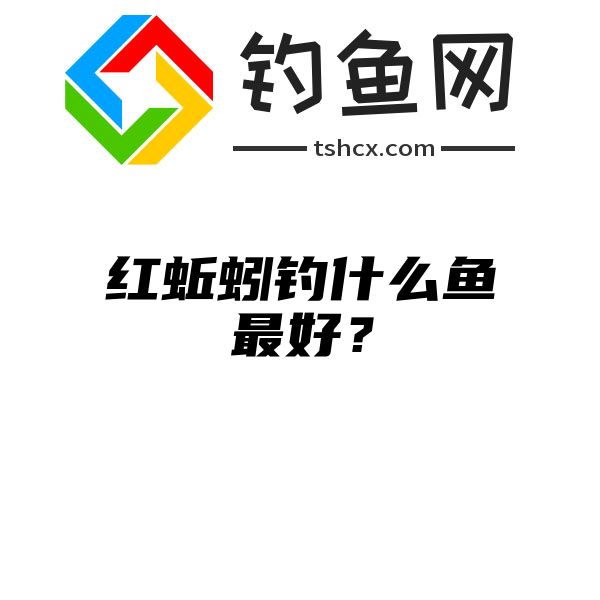 红蚯蚓钓什么鱼最好？