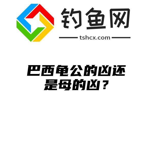 巴西龟公的凶还是母的凶？